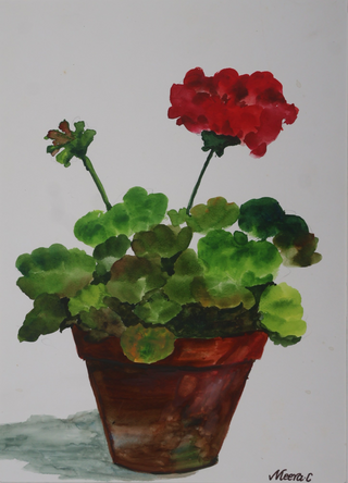 Red Geranium -Watercolor (A3) By Artist Meera.c